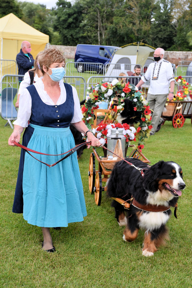 Bernese cart deals